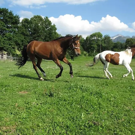 Uebernachten In Blockhaus * Aeschi Bei Spiez