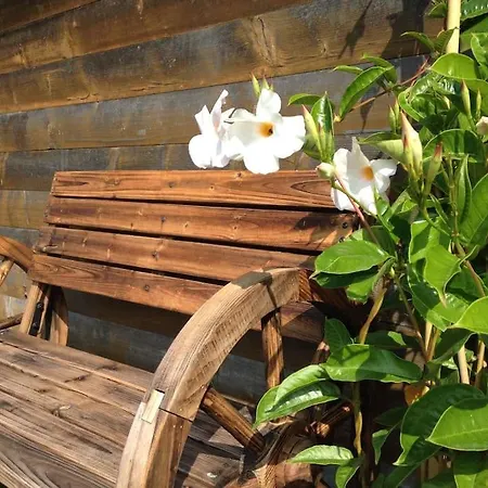 Uebernachten In Blockhaus