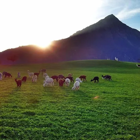 Uebernachten In Blockhaus Feriehus Aeschi Bei Spiez