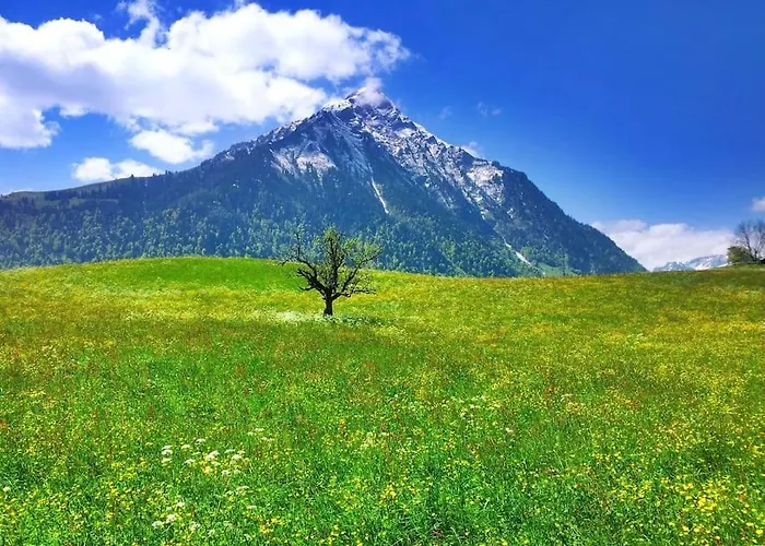 Uebernachten In Blockhaus * Aeschi Bei Spiez