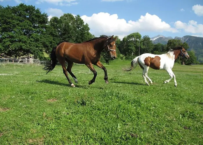 Uebernachten In Blockhaus * Aeschi Bei Spiez